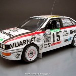 1989 - Rally del Portogallo, De Martini-Gibellini