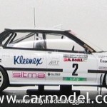 1993 - Rally della Lana, Liatti-Alessandrini