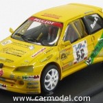 2002 - Rally Appennino Reggiano, Rossi-Gozzo