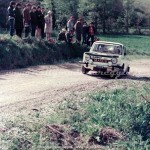 1977 Rally dei Colli Euganei, Cappelli-X
