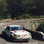 1981 - Rally Colline di Romagna, Bandierini-Tedeschini