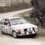 1983, Rally di una valle Piacentina, Vincenzi-Stella