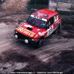 1984 - Rally di Bardolino, Borghi-Borghi