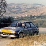1985 - Rally Grandi Ritrovi, Vincenzi-Burgio