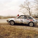1985 - Rally Val D'Arda, Vincenzi-Stella
