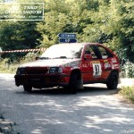 1985 - Rally del Santo, De Luca-Manzini