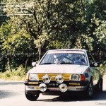 1986 - Rally Grandi Ritrovi, Vincenzi-Burgio