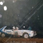 1987 - Rally di Sanremo, Borghi-Borghi