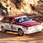 1988 - Rally Costa Brava, Borghi-Borghi