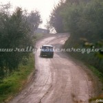 1990 - Rally Romagna Faenza, Golinelli-Borellini