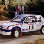 1991 Rally della Fettunta, Accorsi-Tazzioli