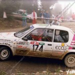 1991, Rally della Fettunta, Stradi-Albertini