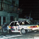 1991 - Rally della Lana, Borghi-Borghi