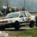 1991 - Rally di Monza, Borghi-Gazzetti