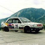 1991 - Rally di Pescara, Borghi-Borghi