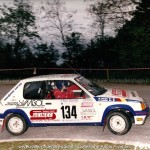 1991 - Rally di Sadurano, Prandini-Odorici