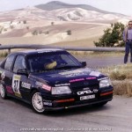 1993 - Rally del Vulture, Accorsi-Zecchini