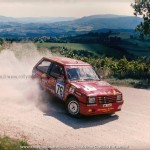 2005- Rally dell'Adriatico, Bergamini-Morani