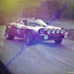 Rally Coppa Città di Modena 1979, Simontacchi-Vercellino