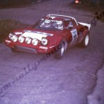 Rally Coppa Città di Modena 1980, Camon-Prugni