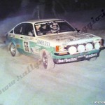 Rally Coppa Città di Modena 1980, Borghi-Ferraresi
