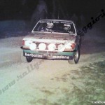 Rally Coppa Città di Modena 1980, Borghi-Ferraresi
