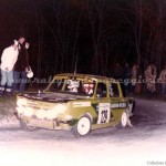 Rally Coppa Città di Modena 1980, Pallastri-Pifferi