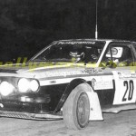 Rally Coppa Città di Modena 1981, Berni-Francione