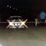 Rally Coppa Città di Modena 1981, Borghi-Ferraresi