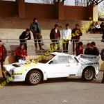 Rally Coppa Città di Modena 1984, Pau-Roggia