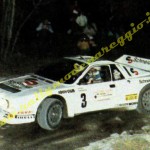 Rally Coppa Città di Modena 1984, Pau-Roggia
