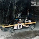 Rally Città di Modena 1984, Pelloni-Casari