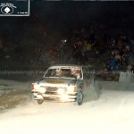 Rally Città di Modena 1984, Bandierini-Tosi