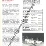 Rally Coppa Città di Modena 1984, riassunto della gara