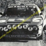 Rally coppa città di Modena 1985, Boretti-Boretti