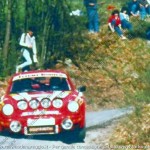 Rally Città di Modena 1985, Maioli-Gozzi