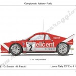 Rally Coppa Città di Modena 1986, Bossini-Pasotti