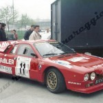 Rally Coppa Città di Modena 1986, Botticini-Vernuccio