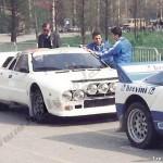 Rally Coppa Città di Modena 1986, Miele-Manzoni