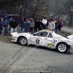 Rally Città di Modena 1986, Miele-Manzoni