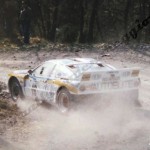 Rally Coppa Città di Modena 1986, Giovanardi-Borghi.