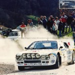 Rally Città di Modena 1986, Giovanardi-Borghi