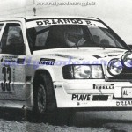 Rally Coppa Città di Modena 1986, Parodi-Bordon