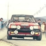 Rally Coppa Città di Modena 1986, Arletti-Julli