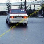 Rally Coppa città di Modena 1987, Borghi-Borghi