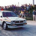 Rally Coppa Città di Modena 1988, Maioli-Gozzi