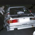 Rally Coppa Città di Modena 1988, Immovilli-Toro