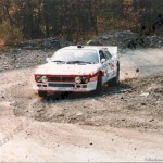 Rally Coppa Città di Modena 1988, De Luca-Manzini