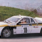 Rally Coppa Città di Modena 1988, Azzolari-Orlando