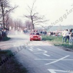 Rally Coppa Città di Modena 1988, Stradi-Corsini